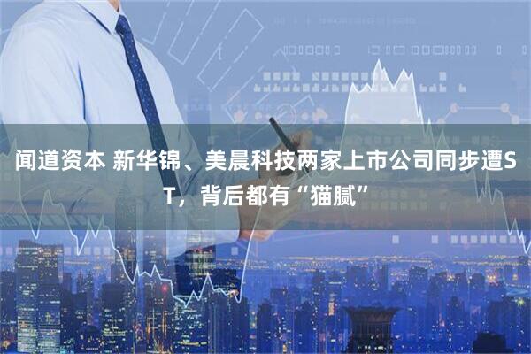 闻道资本 新华锦、美晨科技两家上市公司同步遭ST，背后都有“猫腻”
